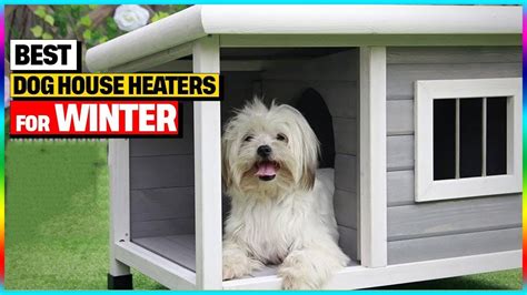 dog house heaters for winter